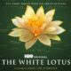 The White Lotus 3