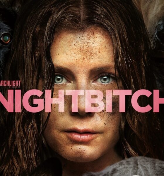 Nightbitch Disney+